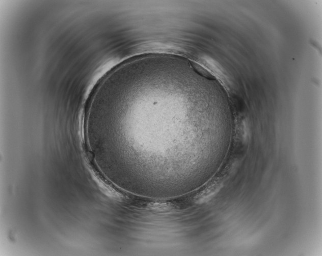 X0000096941128200802081200