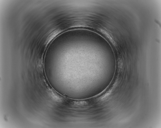 X0000096941129200802081200