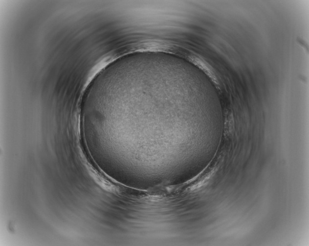 X0000096941130200802081200