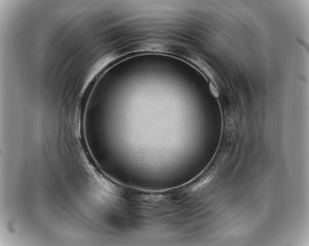 X0000096941131200802081200