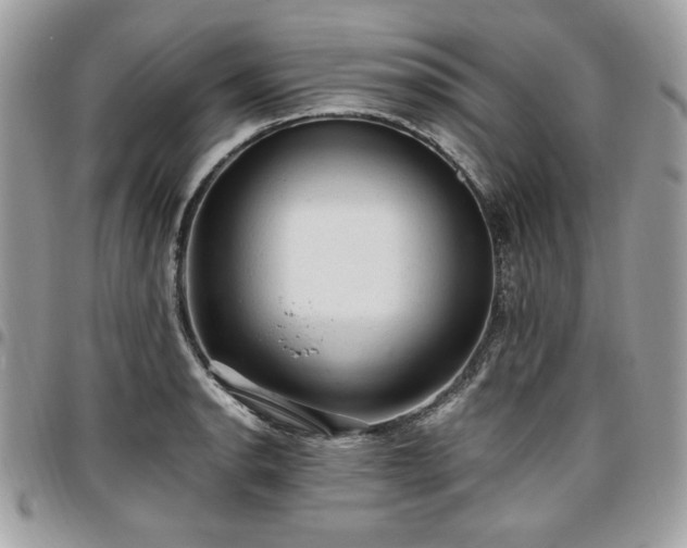 X0000096941134200802081200
