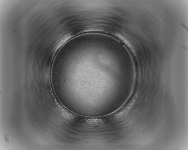 X0000096941137200802081200