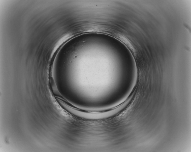 X0000096941138200802081200