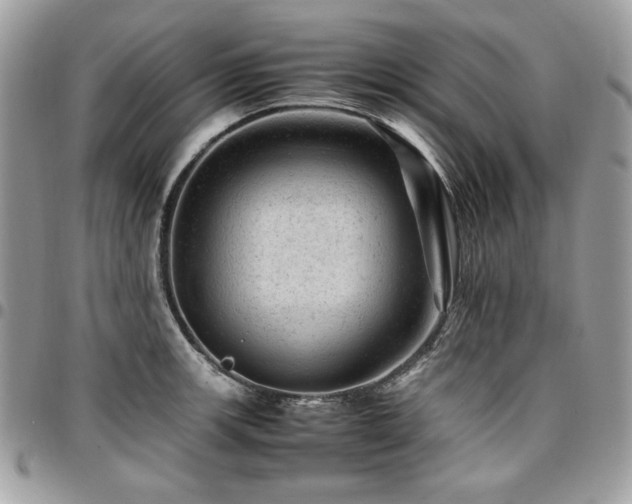 X0000096941139200802081200