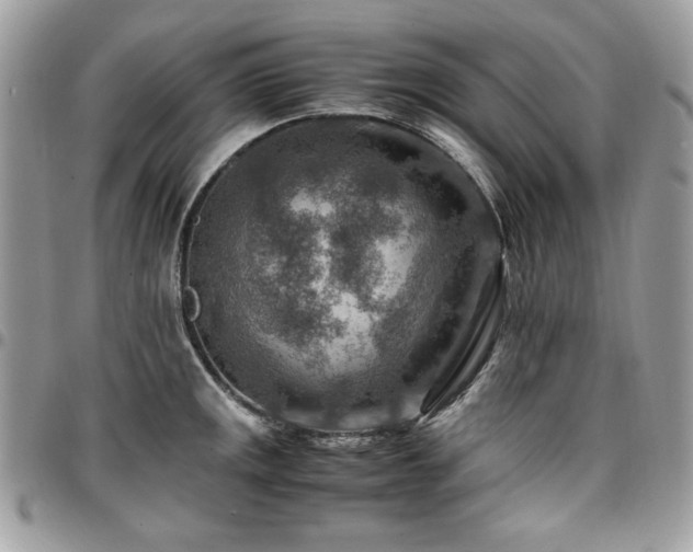 X0000096941141200802081200