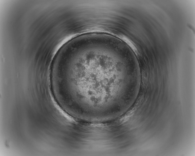 X0000096941142200802081200