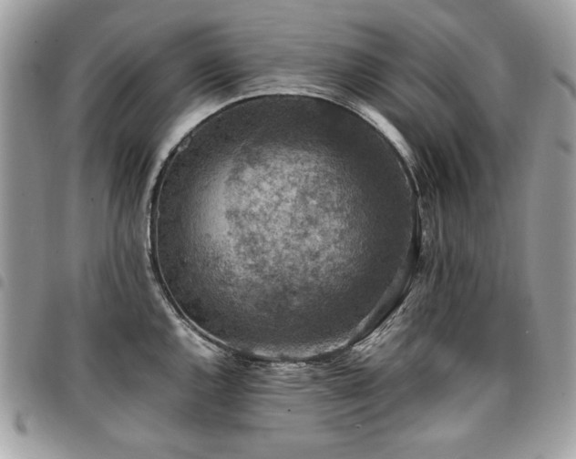 X0000096941144200802081200