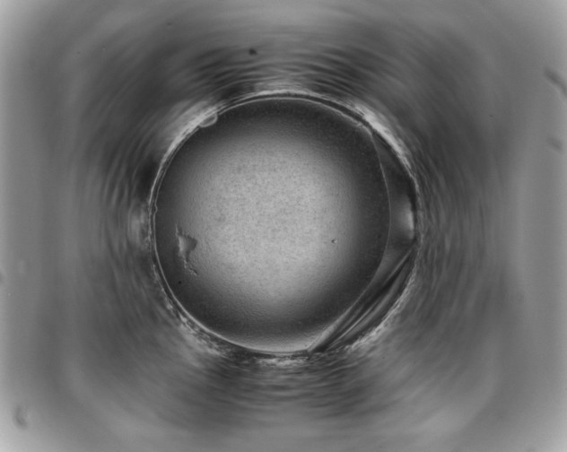 X0000096941145200802081200
