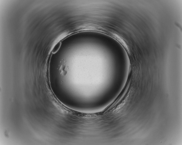 X0000096941146200802081200