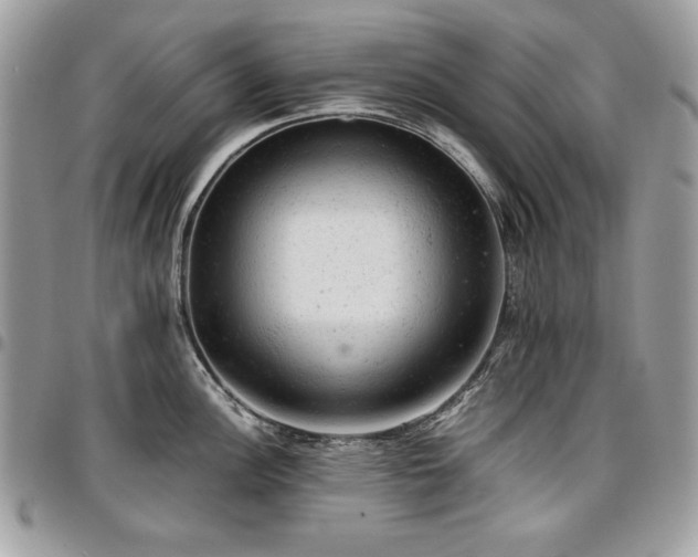 X0000096941148200802081200