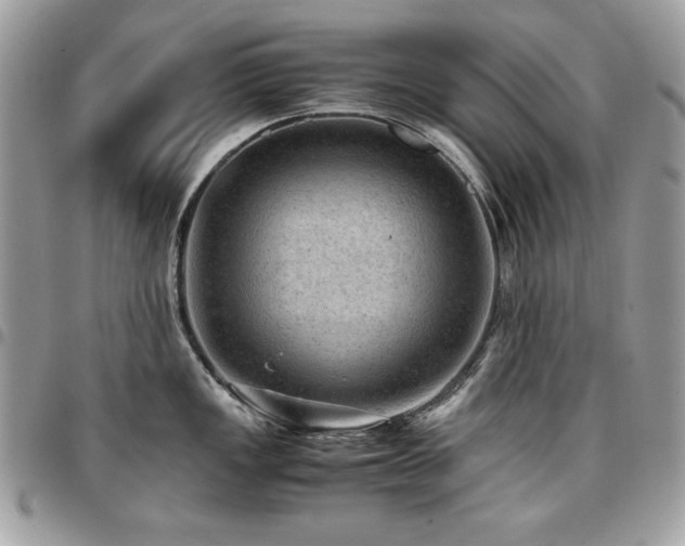 X0000096941149200802081200
