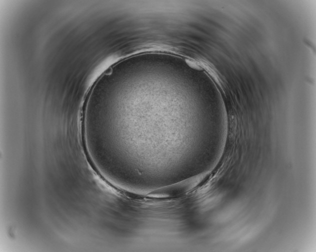 X0000096941151200802081200