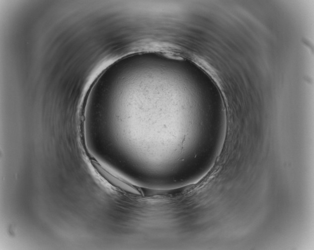 X0000096941152200802081200