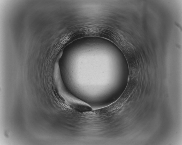X0000096941153200802081159