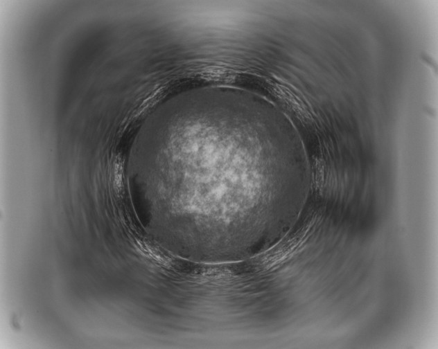 X0000096941154200802081159