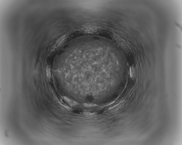X0000096941155200802081159
