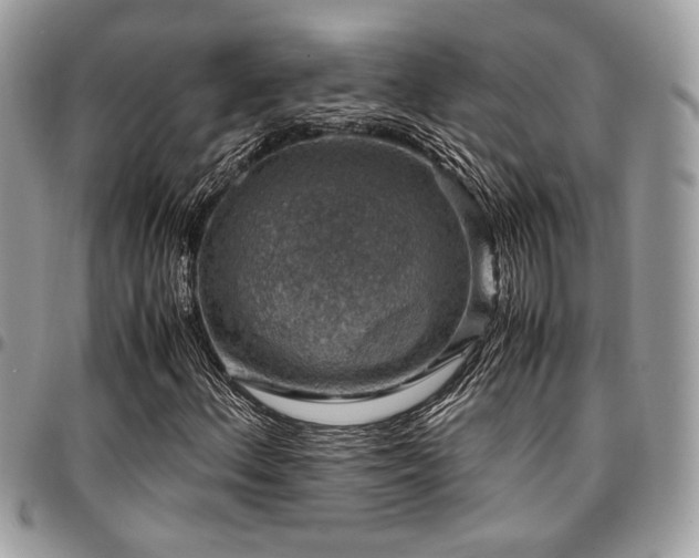 X0000096941156200802081159