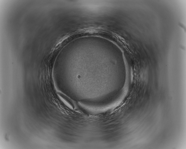 X0000096941158200802081159