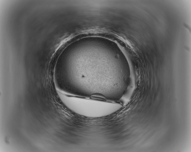 X0000096941160200802081159