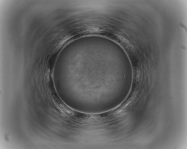 X0000096941161200802081159