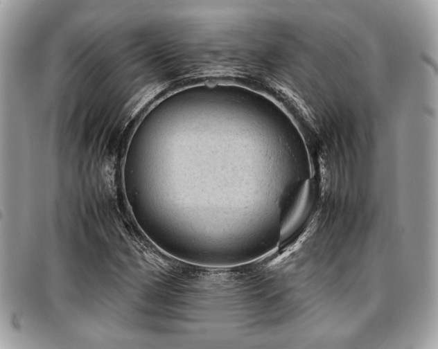X0000096941162200802081159