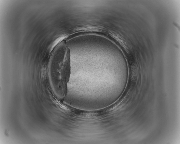 X0000096941163200802081159