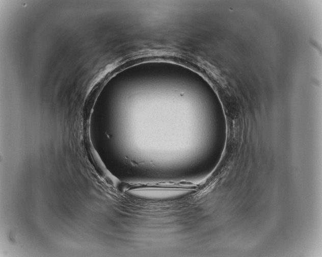 X0000096941165200802081159