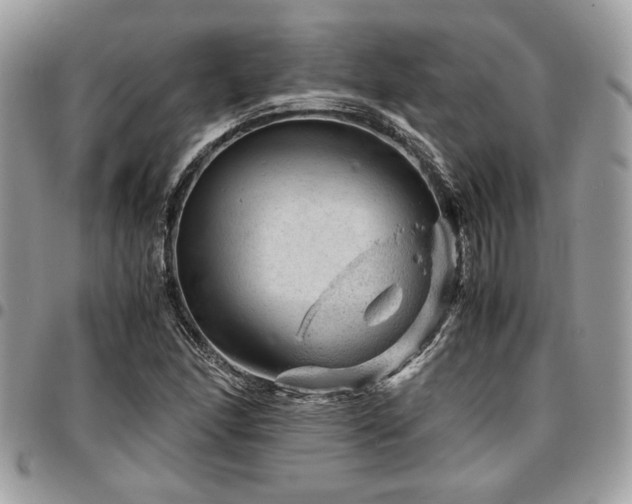 X0000096941166200802081159