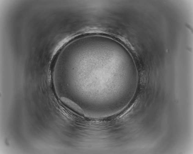 X0000096941167200802081159
