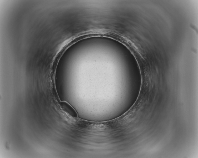 X0000096941168200802081159
