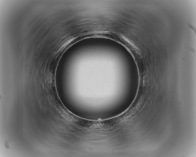 X0000096941169200802081159