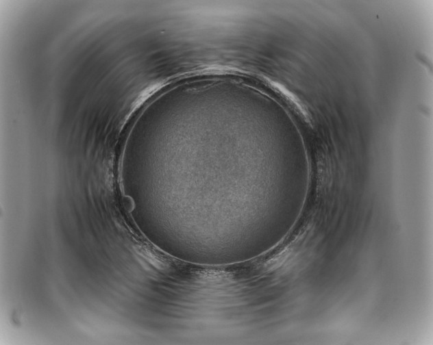 X0000096941170200802081159