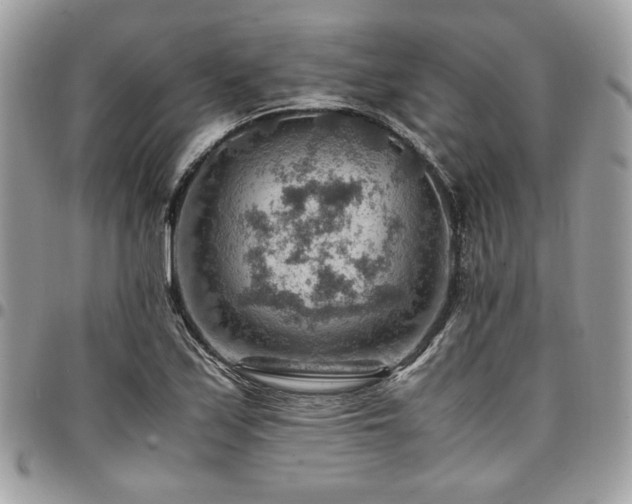 X0000096941171200802081159