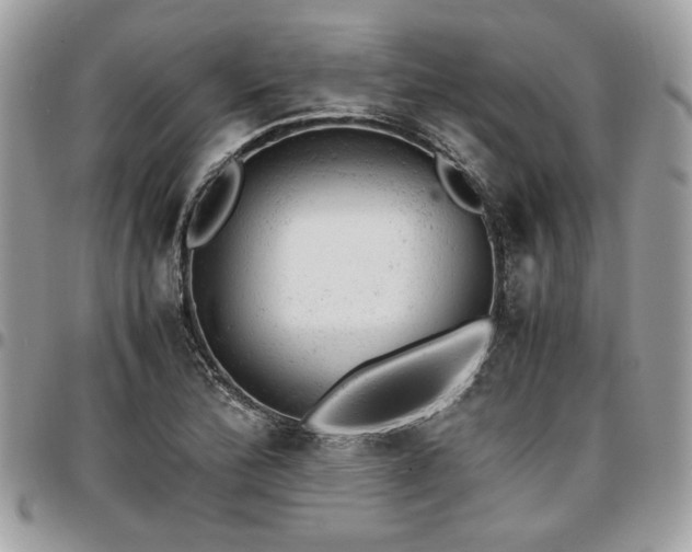 X0000096941172200802081159