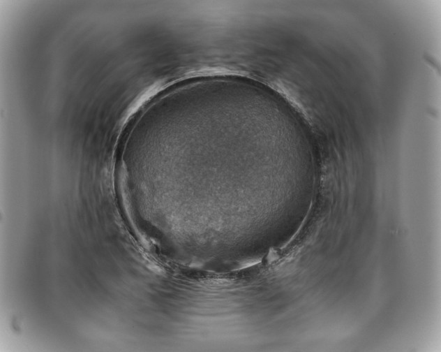 X0000096941173200802081159