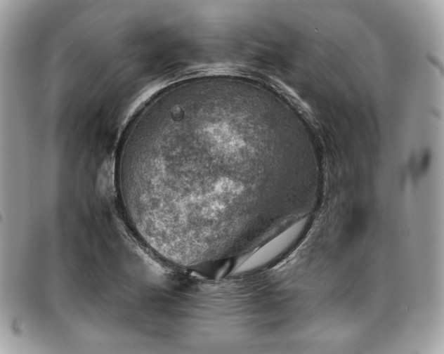 X0000096941174200802081159