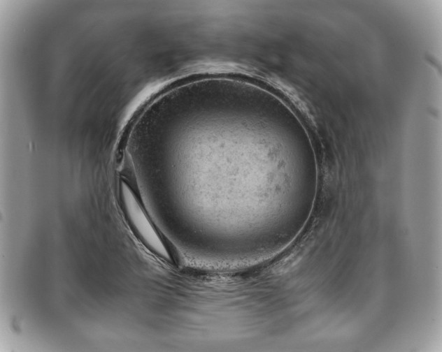 X0000096941175200802081159