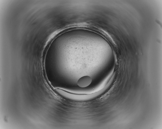 X0000096941176200802081159