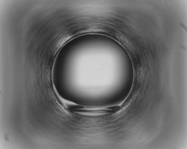 X0000096941177200802081159