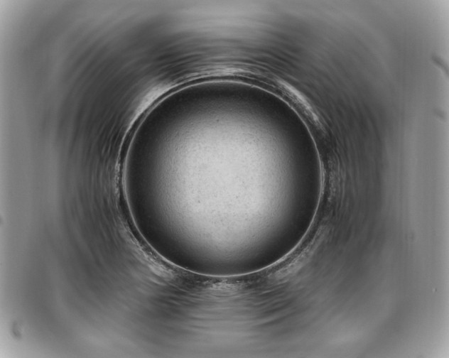 X0000096941178200802081159