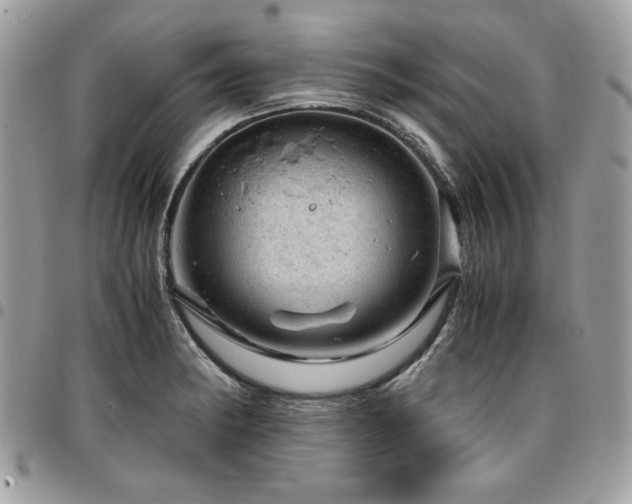 X0000096941182200802081159
