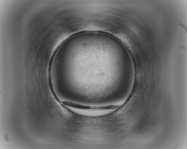 X0000096941183200802081159