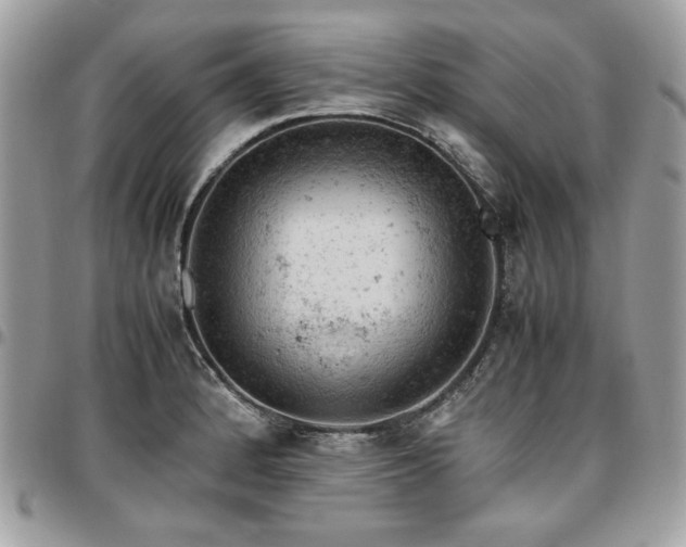 X0000096941184200802081159
