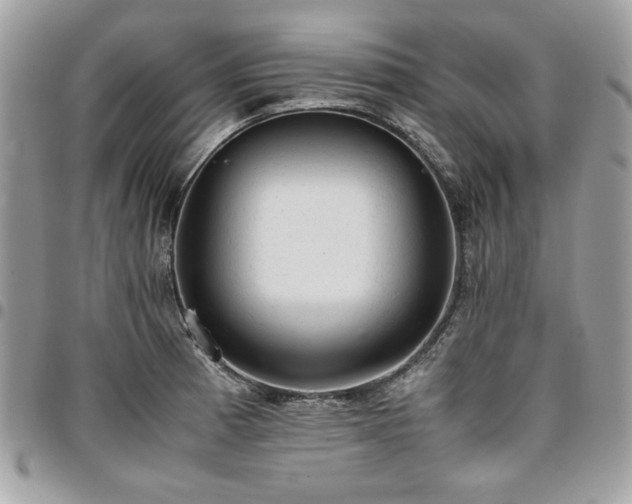 X0000096941185200802081159
