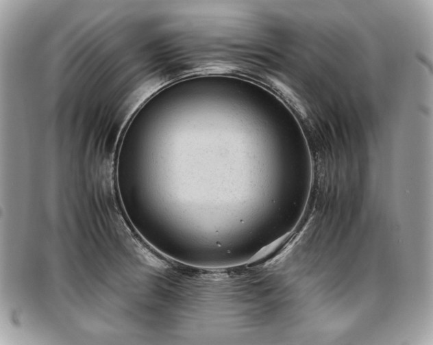 X0000096941186200802081159