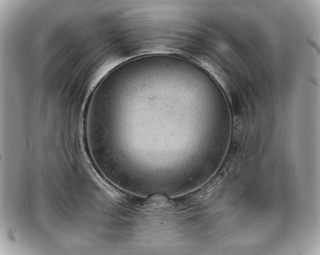 X0000096941187200802081158