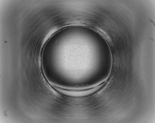 X0000096941188200802081158