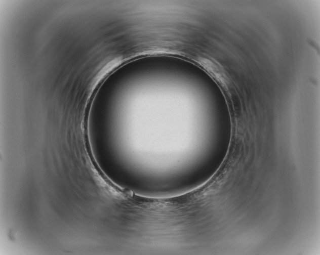 X0000096941189200802081158