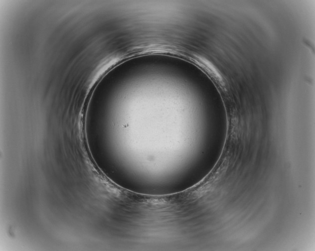 X0000096941190200802081158