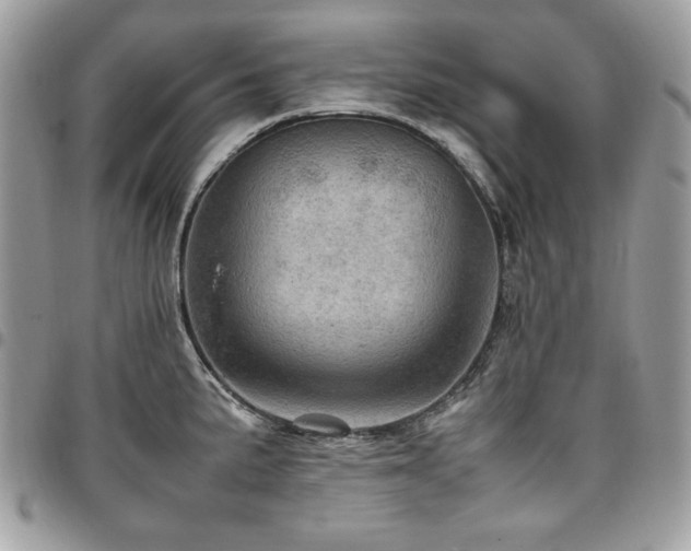X0000096941191200802081158
